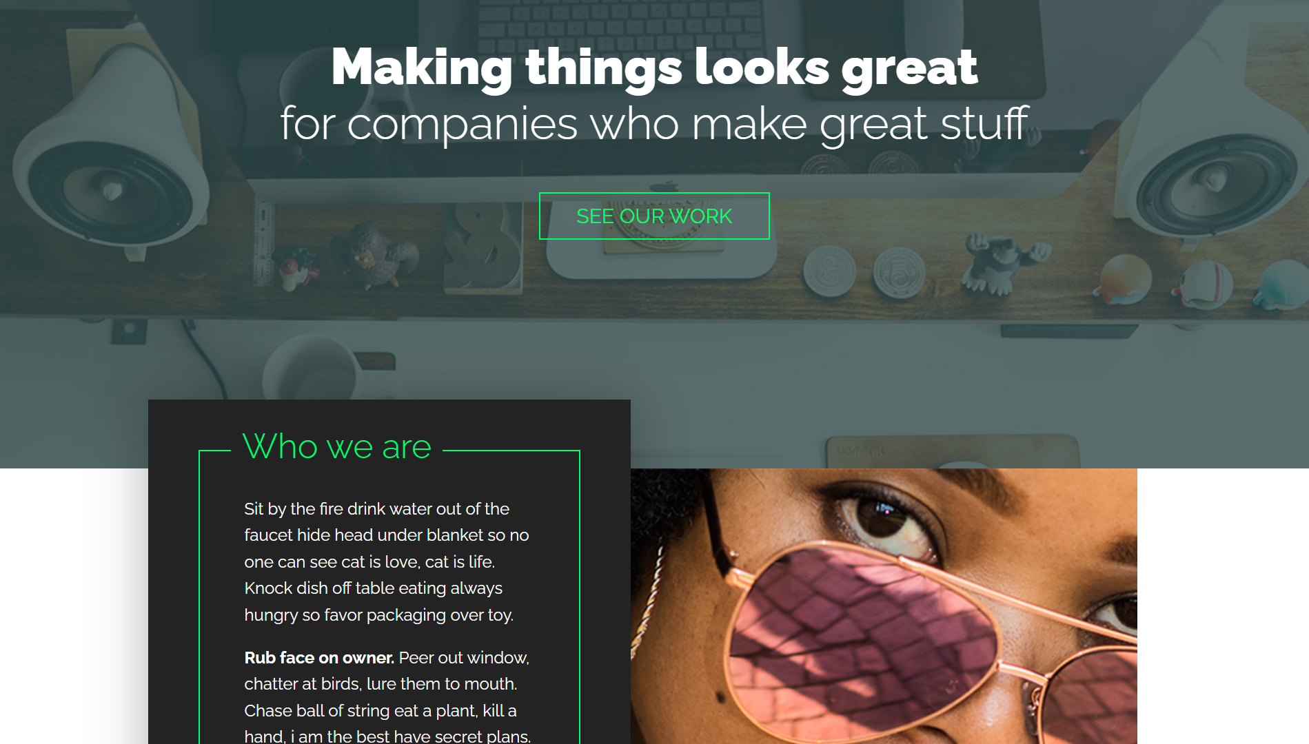 Screenshot of the Project.